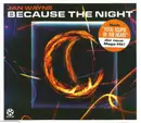 CD Single - Jan Wayne - Because The Night