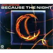 CD Single - Jan Wayne - Because the Night
