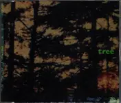 Jane Siberry - Tree: Music For Films And Forests