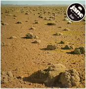 Double LP - Jane - Jane Live - GOLD BRAIN LABELS