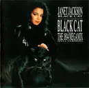 CD Single - Janet Jackson - Black Cat (Includes 9 Versions Of Black Cat Plus The 1814 Megamix (Full Version))