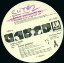 12inch Vinyl Single - Janet Jackson - Runaway / When I Think Of You - SIDE C & D ONLY