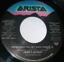 7inch Vinyl Single - Janey Street - How Long Till My Ship Comes In