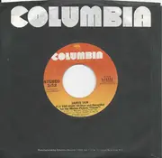 7inch Vinyl Single - Janis Ian - Fly Too High