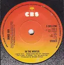 7inch Vinyl Single - Janis Ian - In The Winter