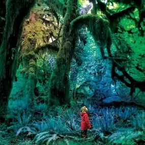 JACCO GARDNER - Cabinet of Curiosities