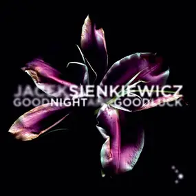 Jacek Sienkievicz - Good Night And Good Luck
