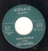 Jack Costanzo - Cowabunga (Wow!) / Cat Walk