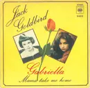 7inch Vinyl Single - Jack Goldbird - Gabriella