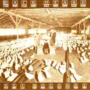 7inch Vinyl Single - Jack Heard - Sex Machine / Adventures In Inbreeding