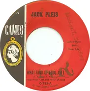 Jack Pleis - What Kind Of Fool Am I