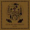 LP - Jack Rose - Luck In The.. -Coloured- - .. VALLEY