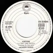 7inch Vinyl Single - Jackson Hawke - Into The Mystic