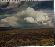 Jacob Furr - Trails & Traces