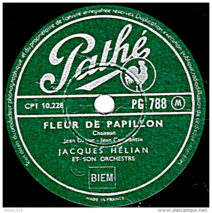 Jacques Hélian Et Son Orchestre - Swedish Rhapsody (Sans Vous Connaitre) / Fleur De Papillon