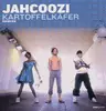 12inch Vinyl Single - Jahcoozi - Kartoffelkäfer Remixe EP