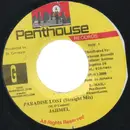 7inch Vinyl Single - Jahmel - Paradise Lost