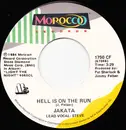 7inch Vinyl Single - Jakata - Hell Is On The Run