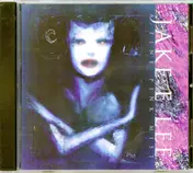 Jake E. Lee - A Fine Pink Mist