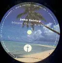 12inch Vinyl Single - Jake Fairley - Blood from a stone