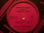 12inch Vinyl Single - Jarvic 7 - Bush Of Love