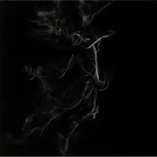 Jarboe - Illusory