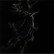 LP - Jarboe - Illusory