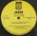 12inch Vinyl Single - Jared - Fly So High