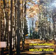 Jaroslav Malina Se Svým Orchestrem - Tief Drin Im Böhmerwald - Golden Bohemian Brass Vol. 2