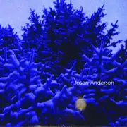 CD - Jason Anderson - The Wreath
