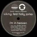 12inch Vinyl Single - Jason Nevins Presents U.K.N.Y. Feat Holly James - I'm In Heaven (Remixes)