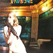 JAWBONE - Jawbone