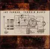 CD - Jay Farrar - Terroir Blues