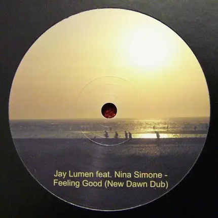 Jay Lumen Feat. Nina Simone - Feeling Good