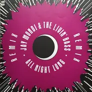 Jay Mondi & The Livin' Bass - All Night Long (Remix)