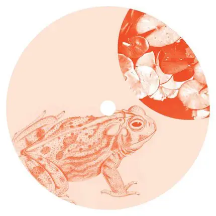 Jay Shepheard - Bullfrogging