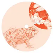 Jay Shepheard - Bullfrogging