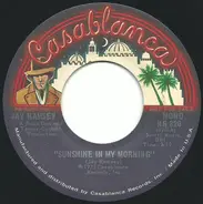 Jay Ramsey - Sunshine In My Morning