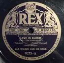 Schellack - Jay Wilbur And His Band - Love In Bloom / Straight From The Shoulder, Right From The Heart