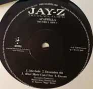 Jay-Z - The Black Album (Acappella)