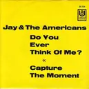 7inch Vinyl Single - Jay & The Americans - Capture The Moment