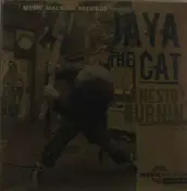 jaya the cat - Ernesto's Burning