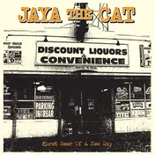 jaya the cat - First Beer of a New Day
