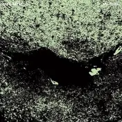 JAYE JAYLE - No Trail And Other Unholy Paths