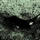 LP - Jaye Jayle - No Trail And Other Unholy Paths