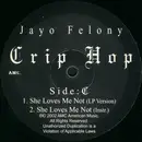 12inch Vinyl Single - Jayo Felony - Crip Hop - She Loves Me Not