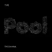 Double LP - Jazzanova - The Pool