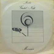 Jazzduo Giebel-Nett - Moonsun