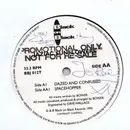 12inch Vinyl Single - Jaziac Sunflowers - Dazed and Confused