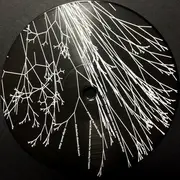 12inch Vinyl Single - Jenifa Mayanja - Random Nature EP